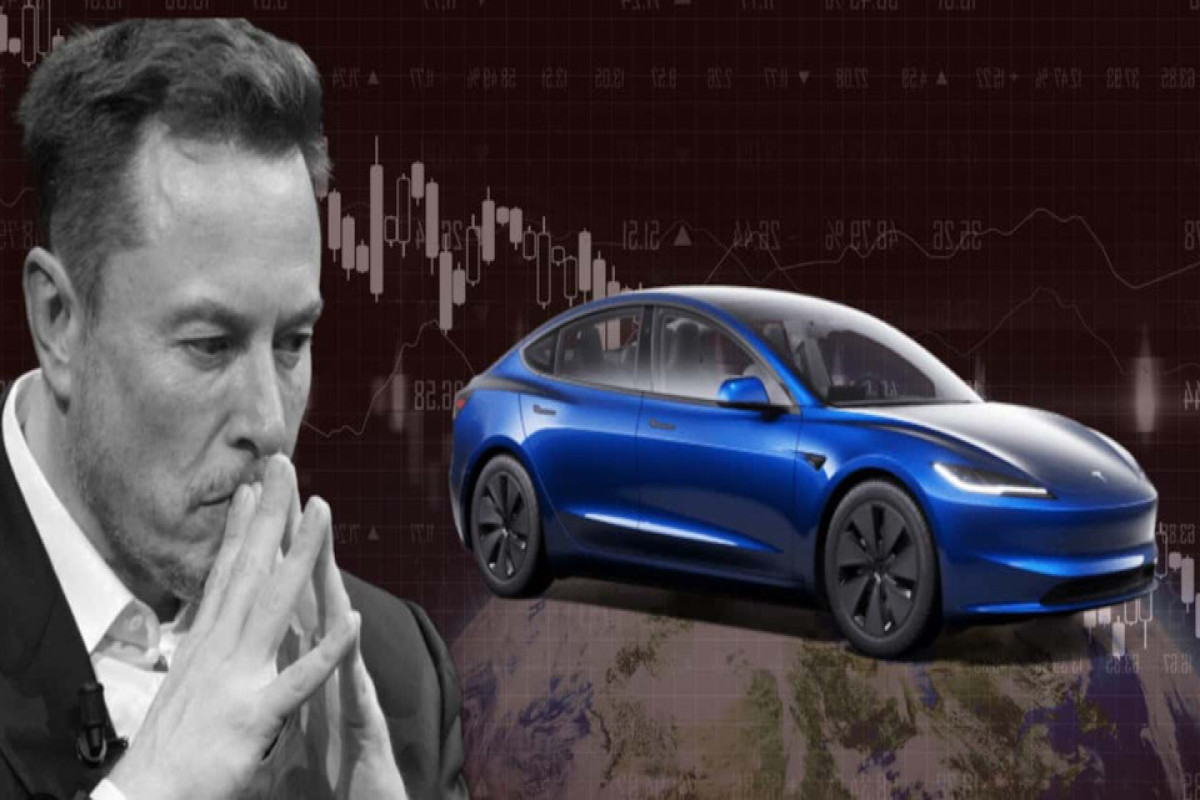 Маск ожидает роста парка роботакси, несмотря на падение продаж в Европе