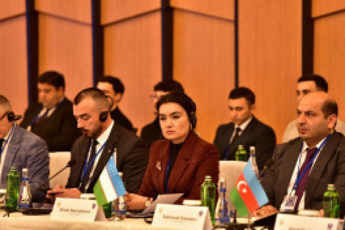 В Баку прошла международная конференция по борьбе с преступностью-ФОТО 