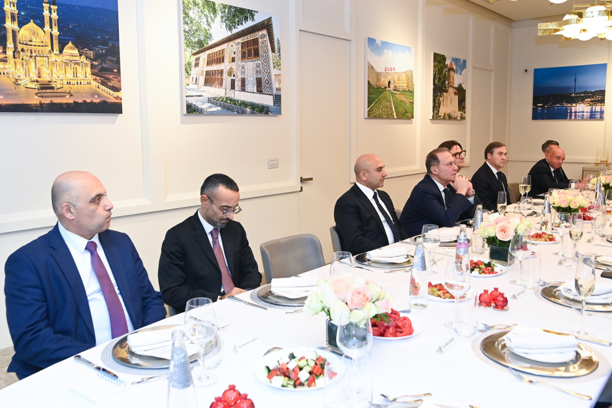 МИД Азербайджана и Италии обсудили политику, энергетику и транспорт-ФОТО 