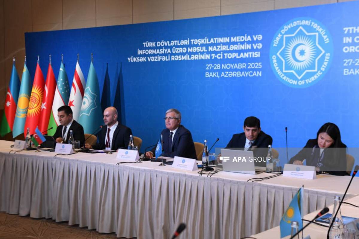 В Баку проходит заседание рабочей группы ОТГ по медиа и информации-ФОТО 