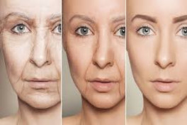 Ученые нашли способ вернуть стволовым клеткам «молодость»