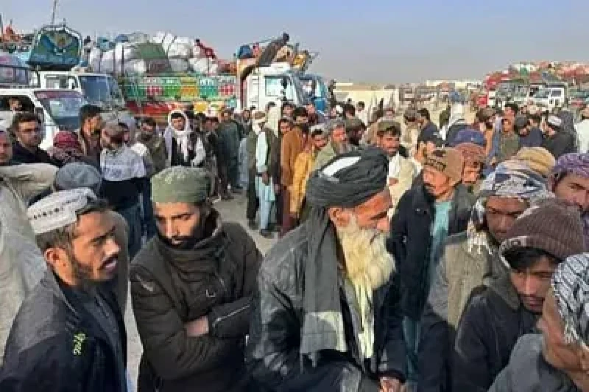 Талибы хотят трудоустроить мигрантов в России