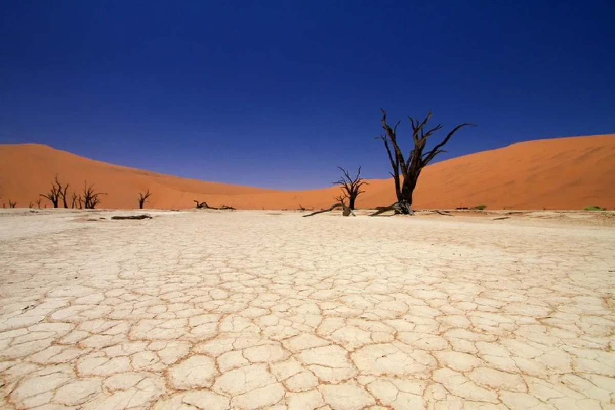 Что будет с планетой, если все пустыни станут зелеными: ученые описали сценарий