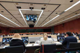 Хикмет Гаджиев провел переговоры с членами комитета ЕС по политике и безопасности