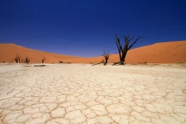 Что будет с планетой, если все пустыни станут зелеными: ученые описали сценарий