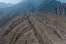 Тайна перуанской «Полосы отверстий»: ученые обнаружили следы древнего рынка