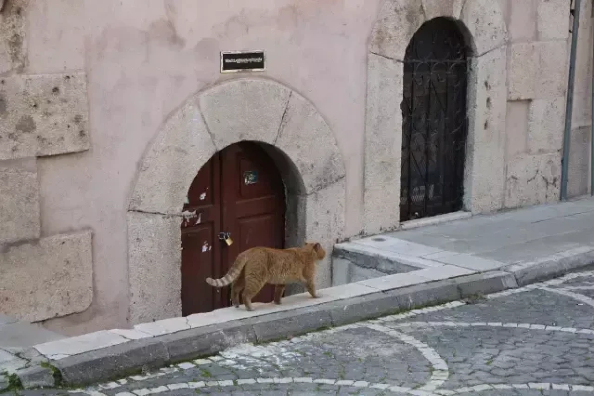 В Турции закрыли девять гробниц из-за незаконного электропотребления-ФОТО 