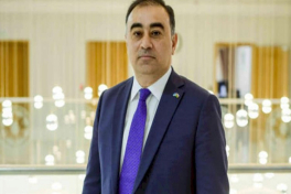 Посол Азербайджана в Турции: Статус лица тюркского происхождения предоставляется только национальным меньшинствам, проживающим в других странах