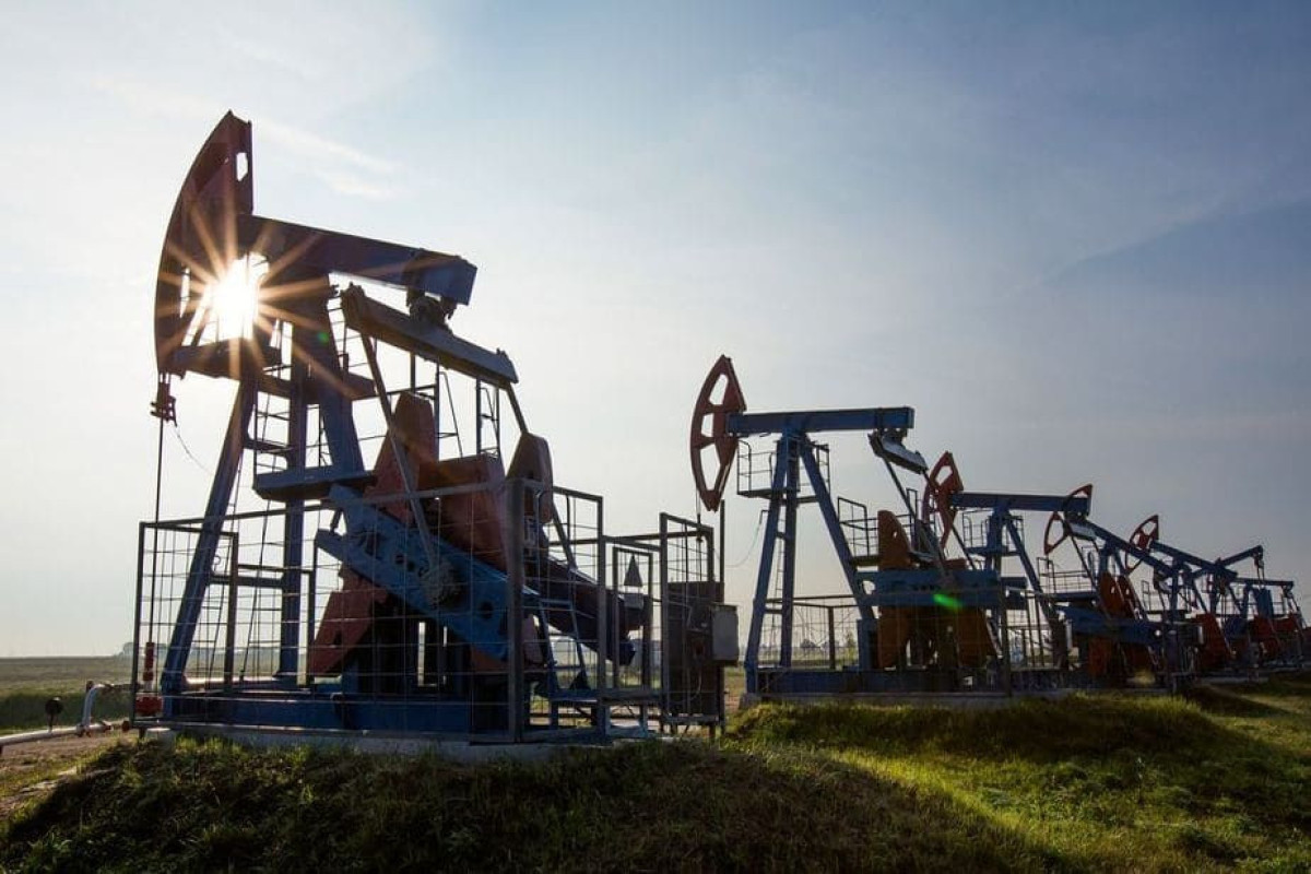 Цены на нефть Brent и WTI показали рост на мировых биржах