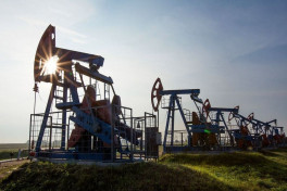 Цены на нефть Brent и WTI показали рост на мировых биржах