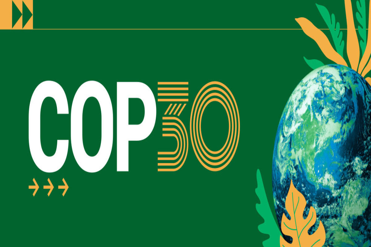 COP30 под угрозой срыва: 81 страна не нашла жилье для своих делегаций