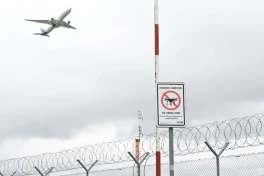 Германия впервые обвинила Россию в запуске дронов у аэропортов Европы