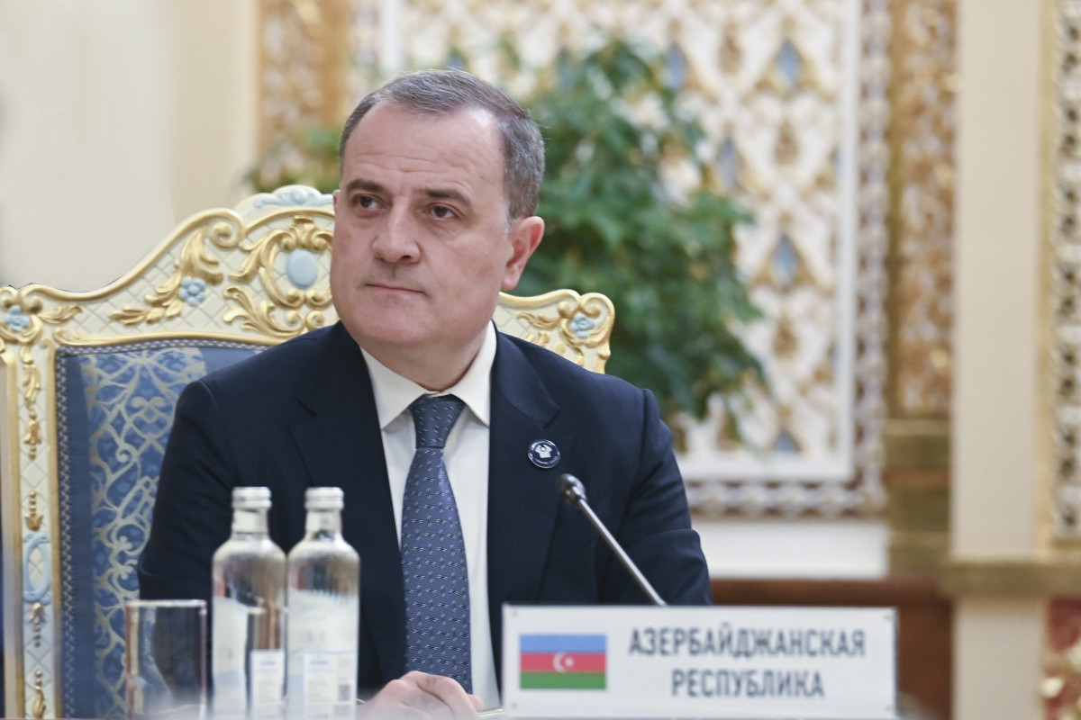 Джейхун Байрамов выступил на заседании СМИД СНГ-ФОТО 