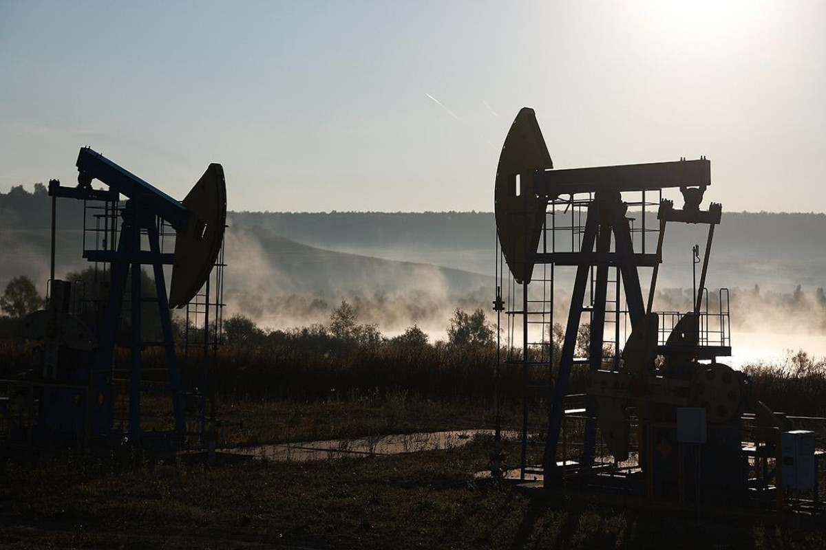 Reuters: Индия вполовину сократила импорт российской нефти