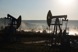Reuters: Индия вполовину сократила импорт российской нефти