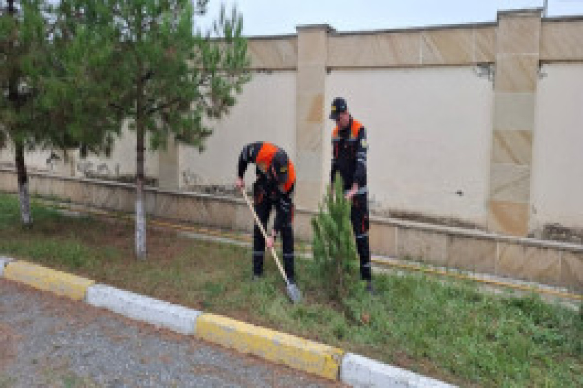 МЧС провело экологическую акцию в рамках «Года Конституции и суверенитета»-ФОТО
