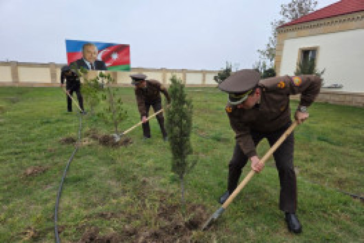 МЧС провело экологическую акцию в рамках «Года Конституции и суверенитета»-ФОТО