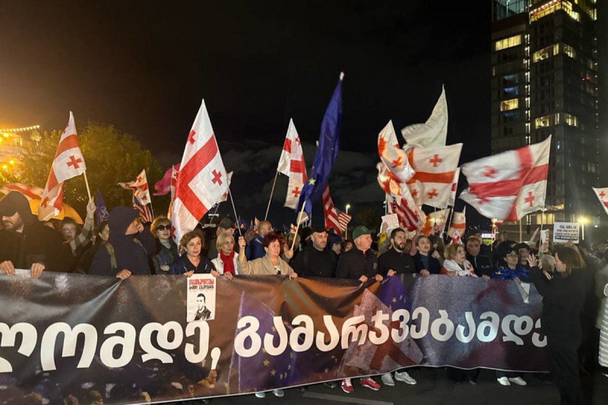 В Тбилиси возобновились протесты против правительства