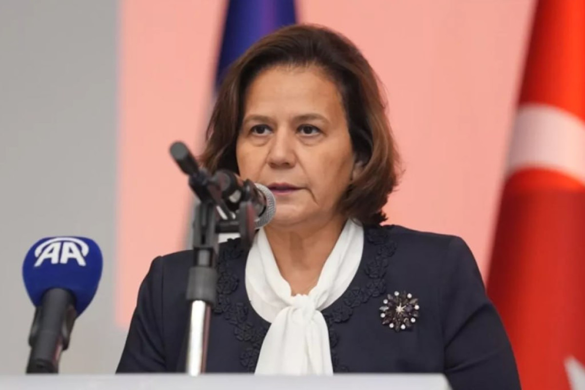 Заместитель Хакана Фидана прибыла в Азербайджан