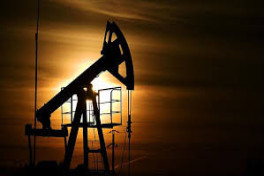 СМИ: Импорт Индией нефти из США в октябре достиг максимума