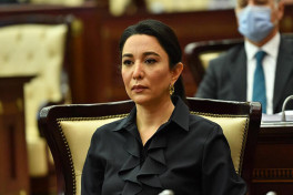 Омдусмен Сабина Алиева обратилась к коллеге в Монтенегро 