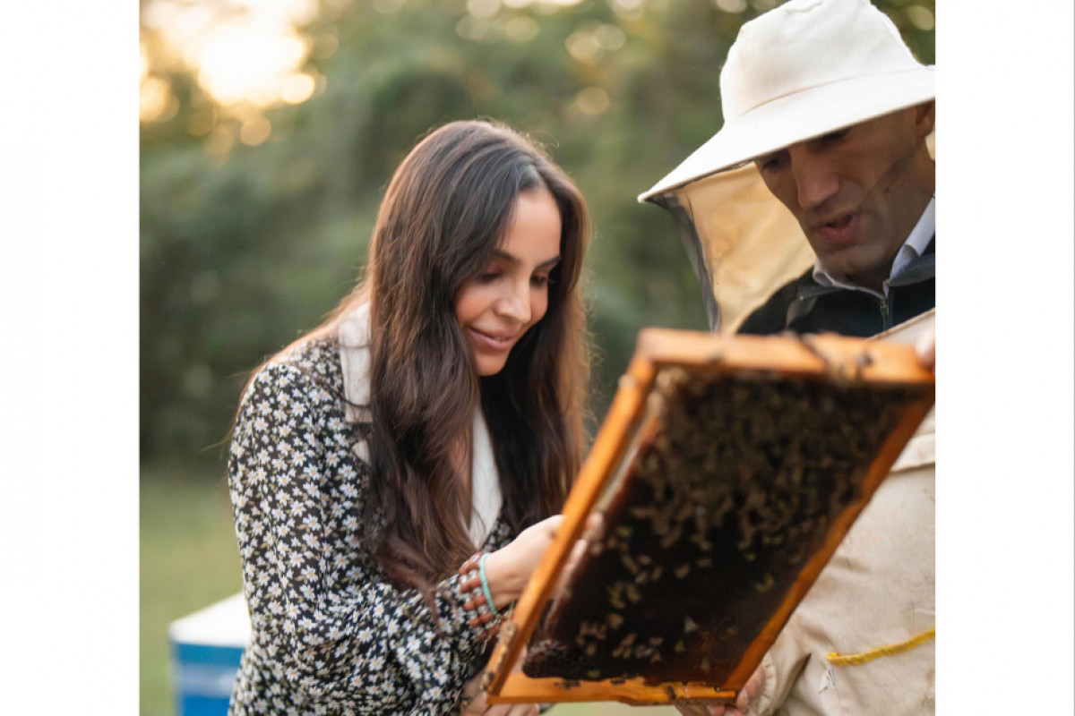 Лейла Алиева встретилась в Габале с участником проекта «Молодой пчеловод»-ФОТО