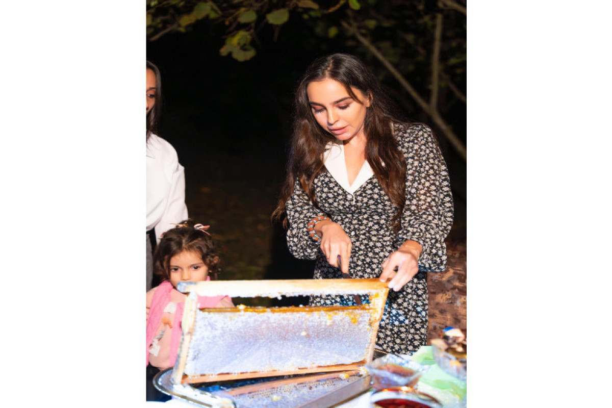 Лейла Алиева встретилась в Габале с участником проекта «Молодой пчеловод»-ФОТО