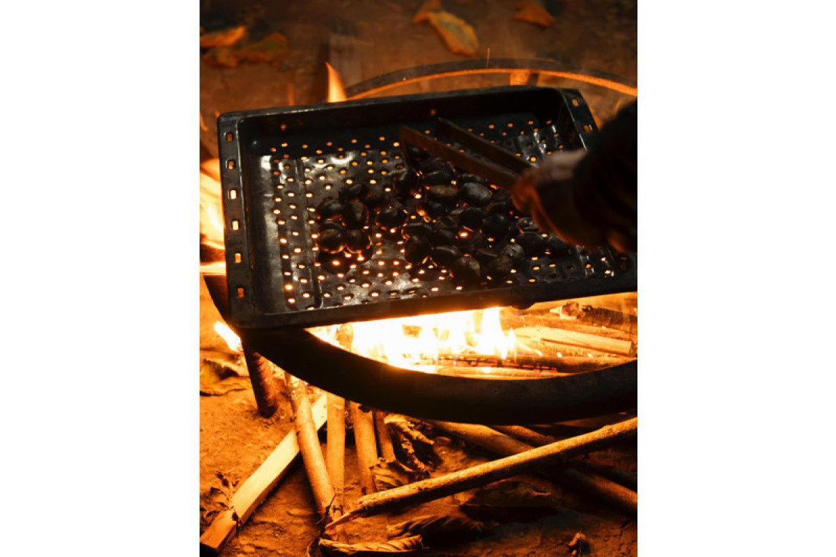 Лейла Алиева встретилась в Габале с участником проекта «Молодой пчеловод»-ФОТО