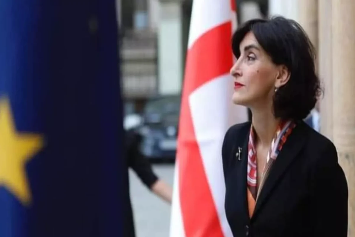 Грузия отвергла обвинения в содействии обходу санкций