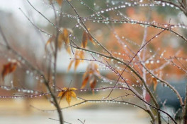 Дождливая и ветреная погода сохранится в стране до вечера