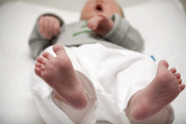 Полиция обнаружила в доме американки тела четырех младенцев