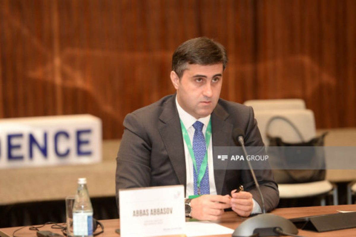 Аббас Аббасов: мы добьемся справедливости для жертв бельгийского колониализма