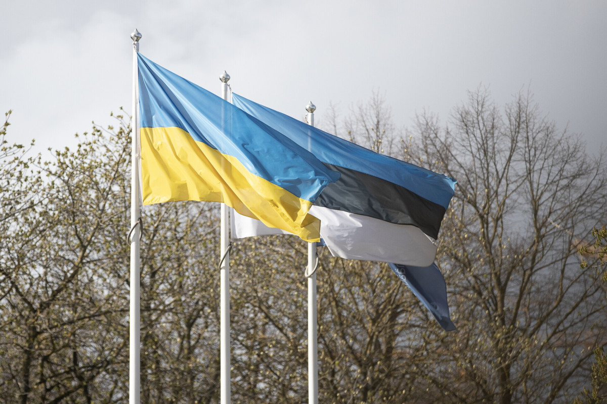 Эстония выделила 0,3% ВВП на поддержку Украины