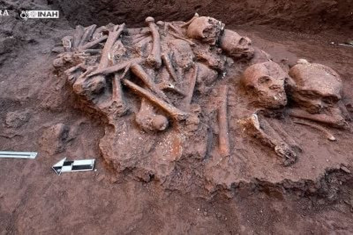 В Британии под строящимся университетом нашли более 300 скелетов