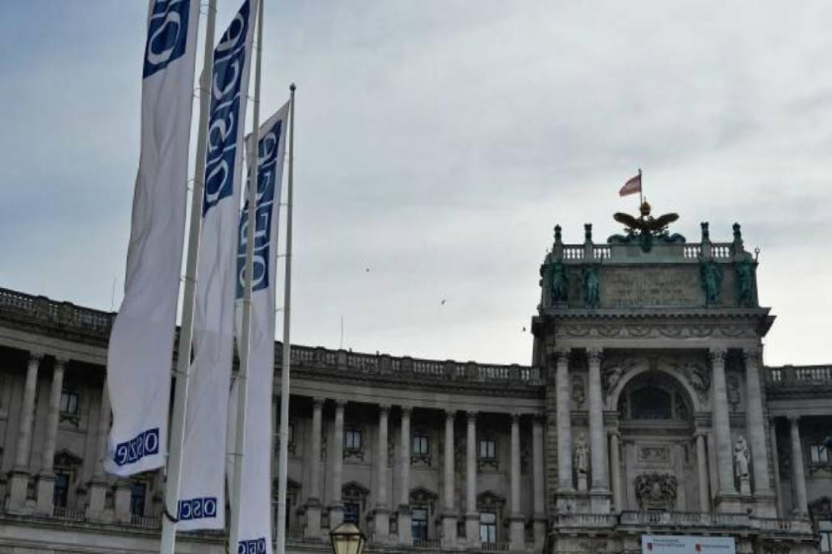 Постоянный совет ОБСЕ созвал внеочередное заседание по Украине