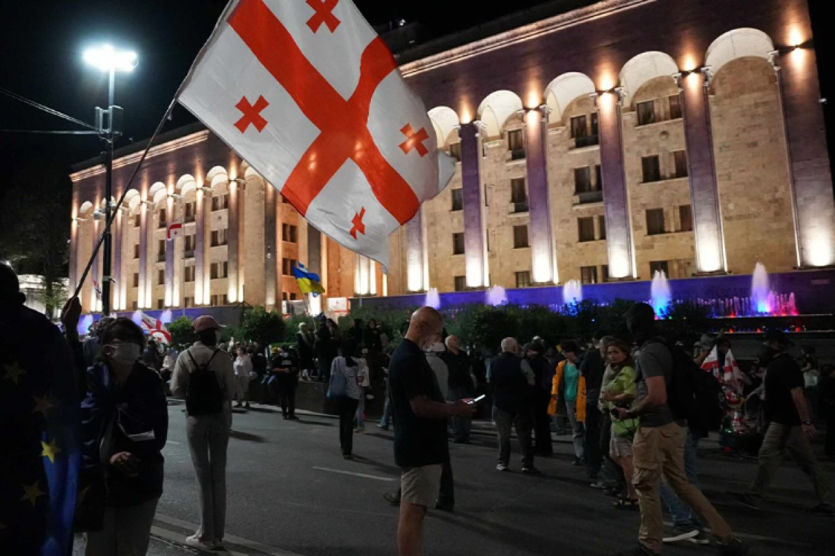 Каладзе обвинил дипломатов ЕС и ФРГ в подстрекательстве протестов