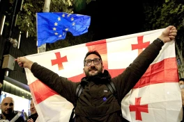 В Тбилиси проходит митинг за сохранение безвизового режима с ЕС