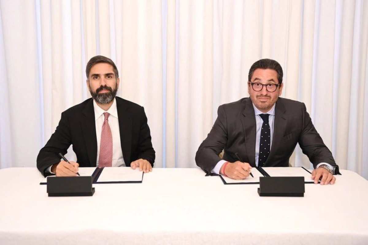SOCAR и Mediterranean Shipping договорились о сотрудничестве