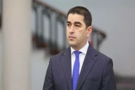 Папуашвили: Оппозиция готовит "майдан" на день выборов