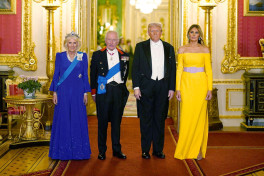 Соцсети спорят из-за цвета платья супруги Трампа