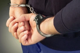 В Грузии задержаны граждане Азербайджана и РФ за перевозку метадона