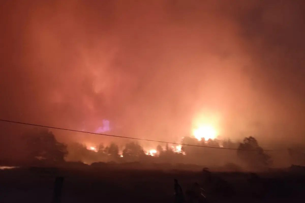 В Турции в ещё одном районе начался лесной пожар