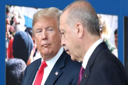 Эрдоган и Трамп обсудили совместные шаги по урегулированию в Украине