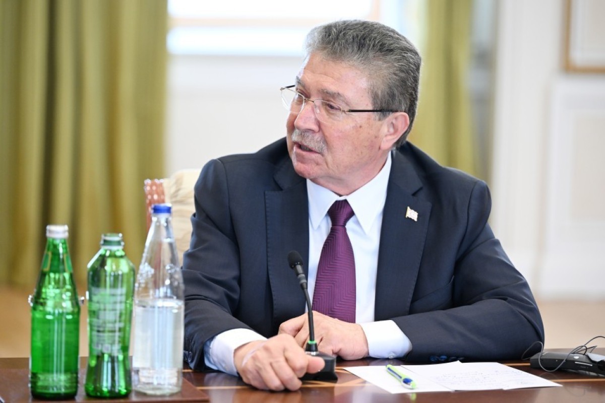 Алиев принял делегацию Организации тюркских государств в Баку-ФОТО 