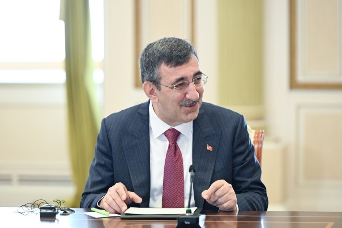 Алиев принял делегацию Организации тюркских государств в Баку-ФОТО 