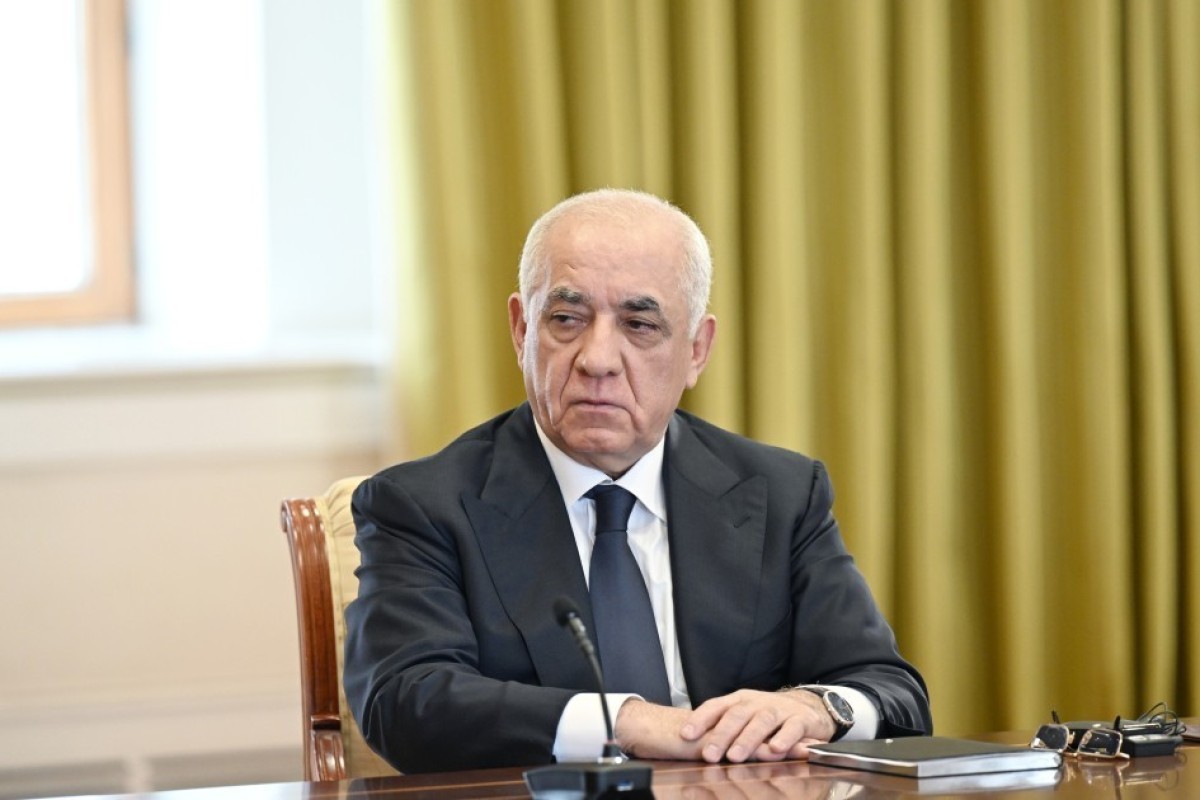 Алиев принял делегацию Организации тюркских государств в Баку-ФОТО 