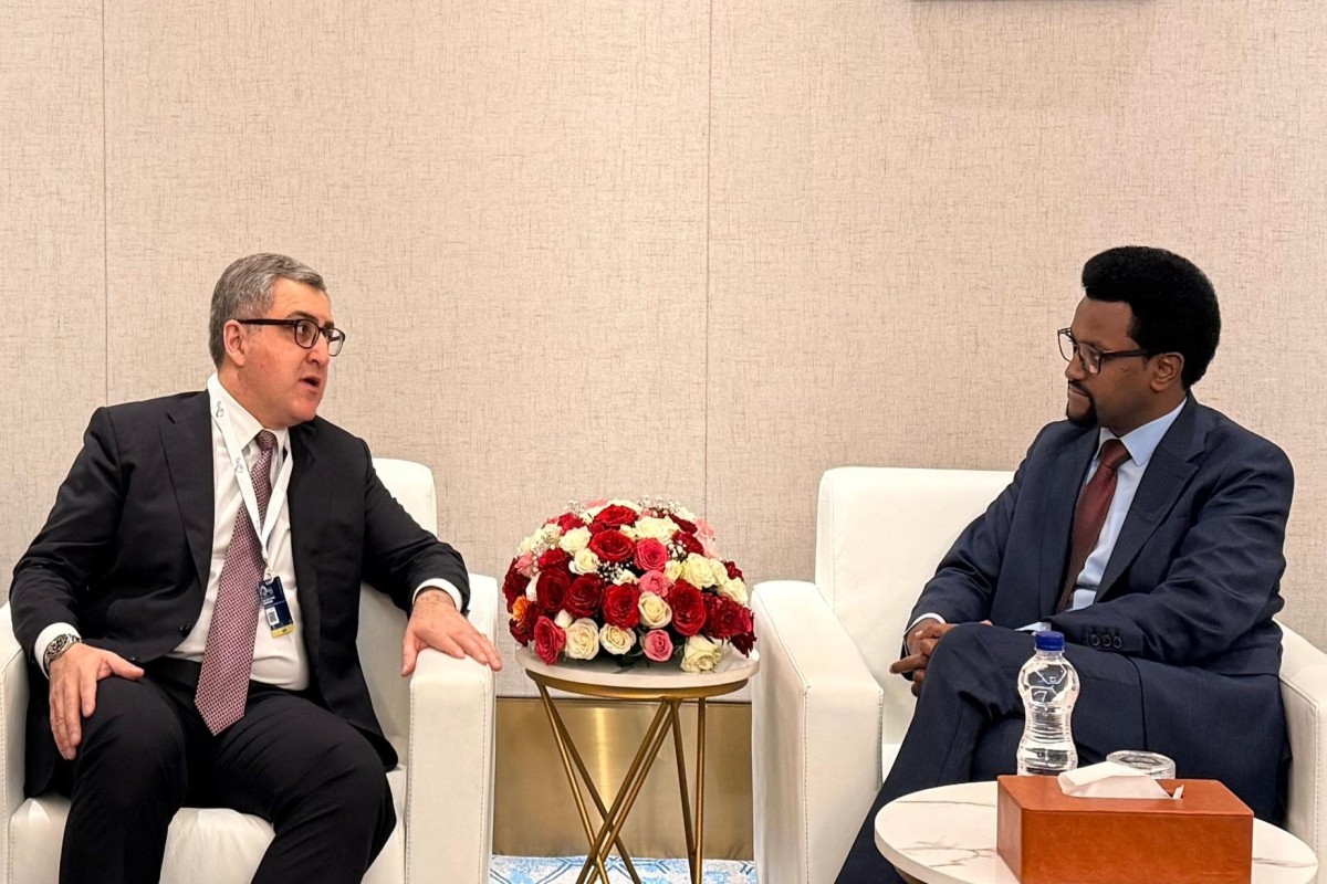 AZPROMO представил инвестиционный потенциал Азербайджана в Аддис-Абебе-ФОТО 