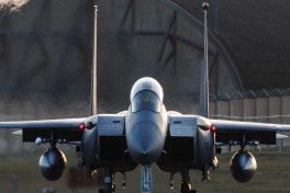 В США подтвердили информацию о сбитом Ираном истребителе -ВИДЕО 