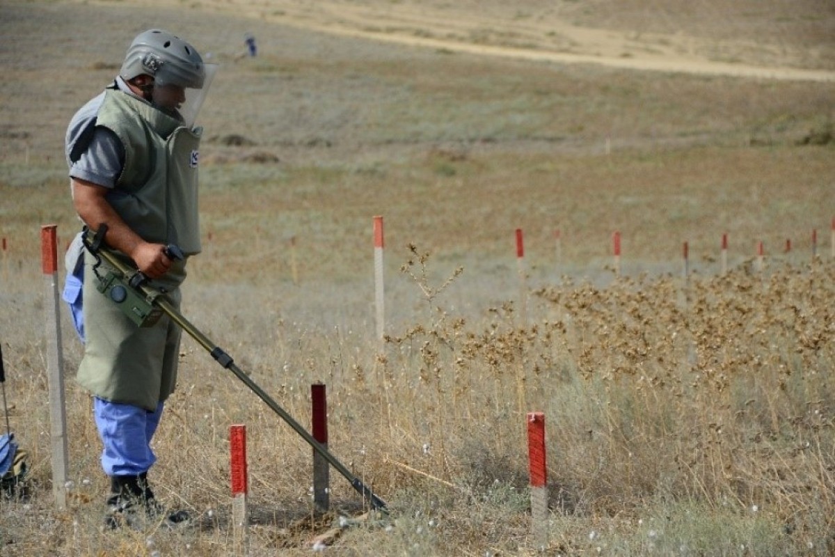 Мины как глобальная угроза: Азербайджан на передовой борьбы - ВЗГЛЯД  