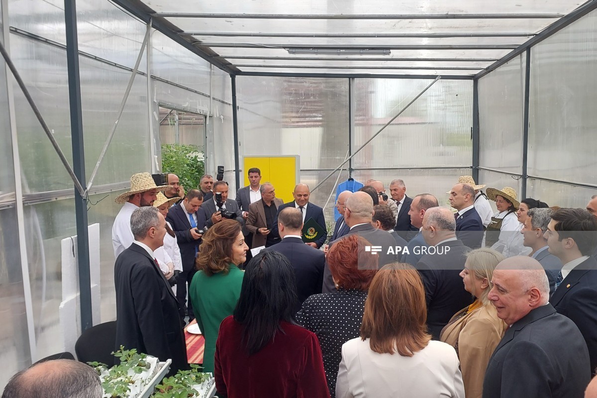 В Лянкяране обсудили развитие профобразования в регионах-ФОТО 